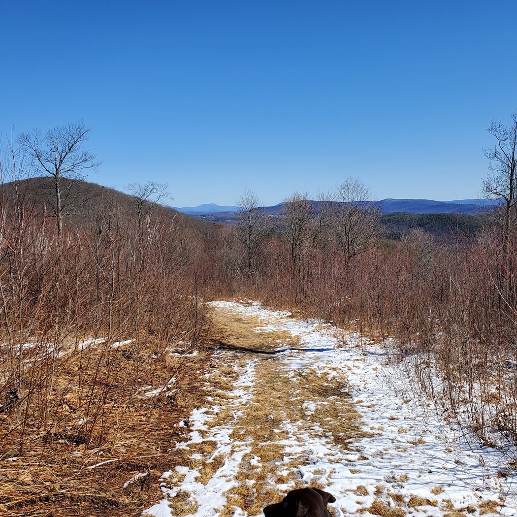 Alford Springs Reserve - Father Loop Trailhead 2