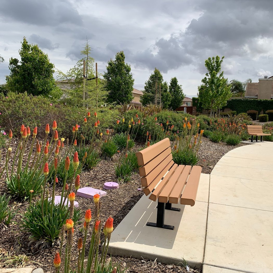 Sycamore Park 2