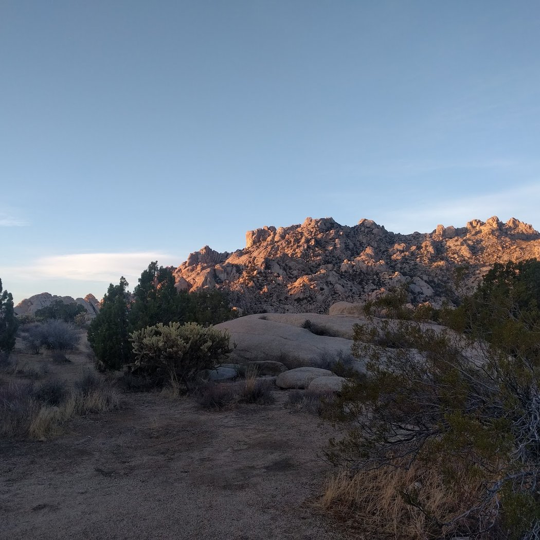 Mojave National Preserve 2