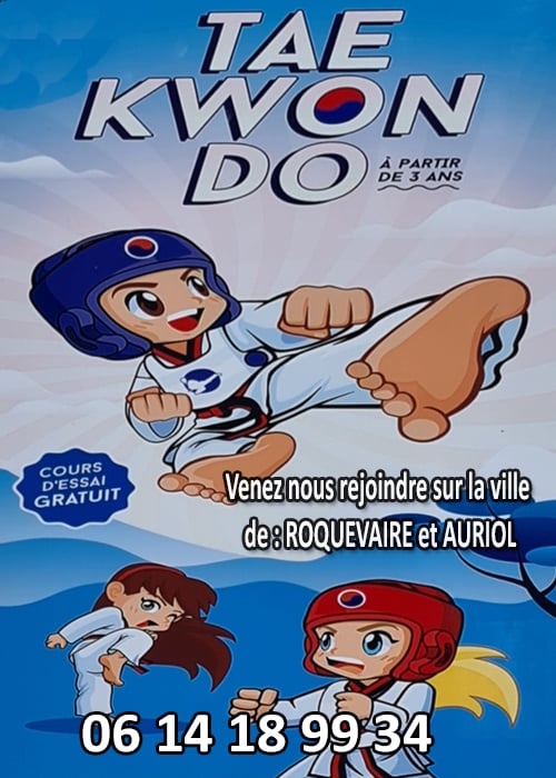 School Taekwondo Auriol 2