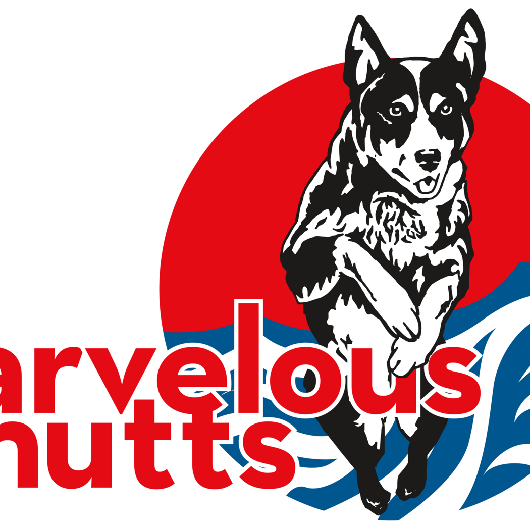 Marvelous Mutts Dog Show 2
