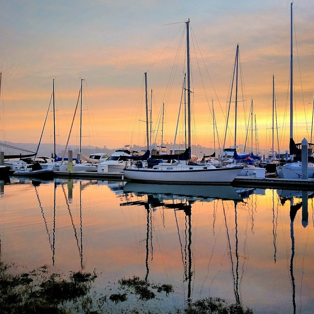 Sunset Sail - Friday Nights – "Osprey"