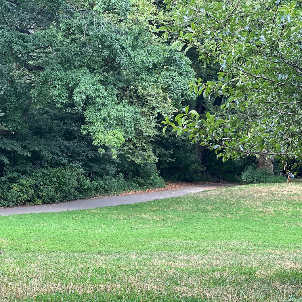 Prospect Park Yoga 3