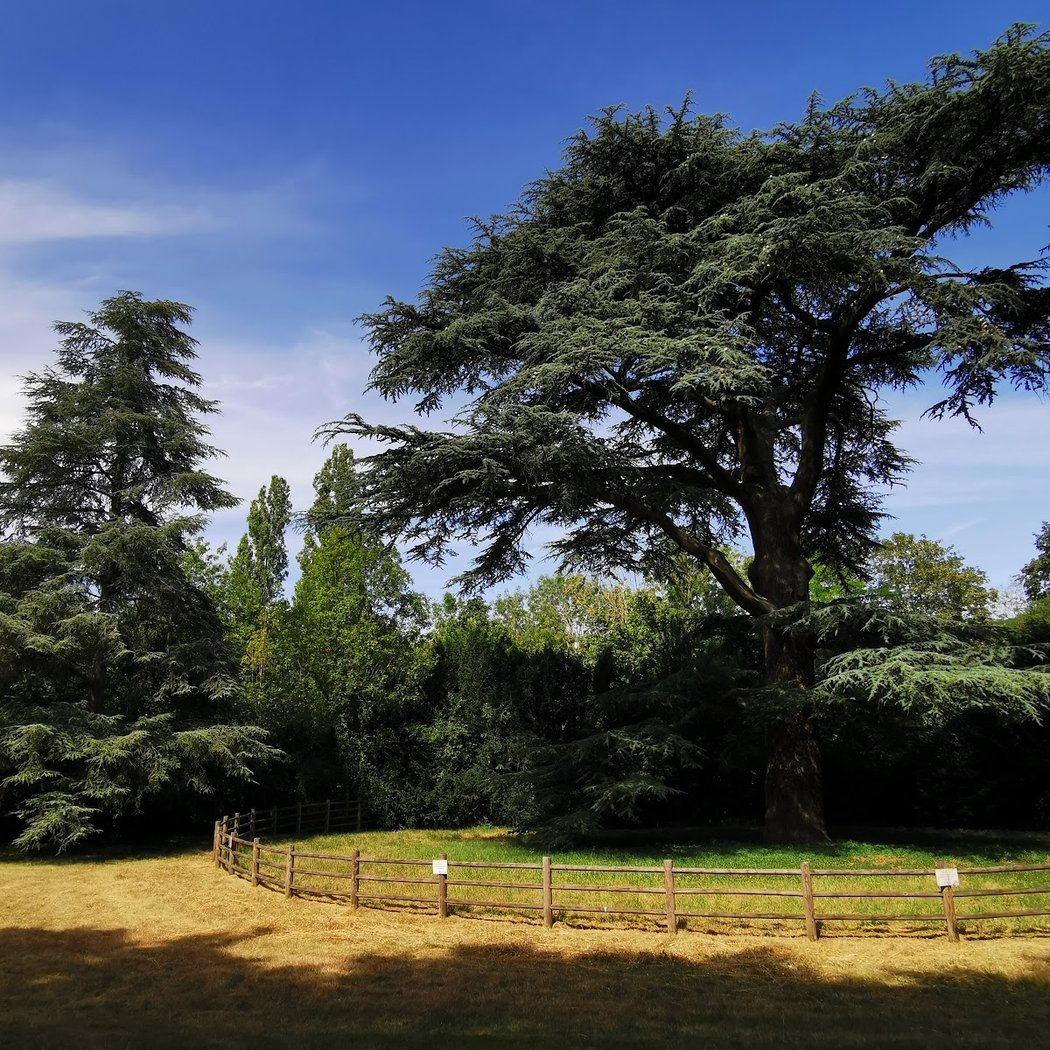 Parc des Tourelles 1