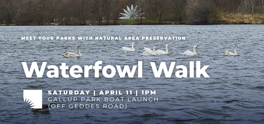Waterfowl Walk 1