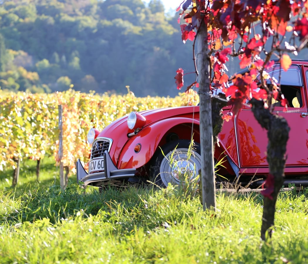 Vintage Roads - Location 2cv, Mehari, Coccinelle et Combi en Provence 1