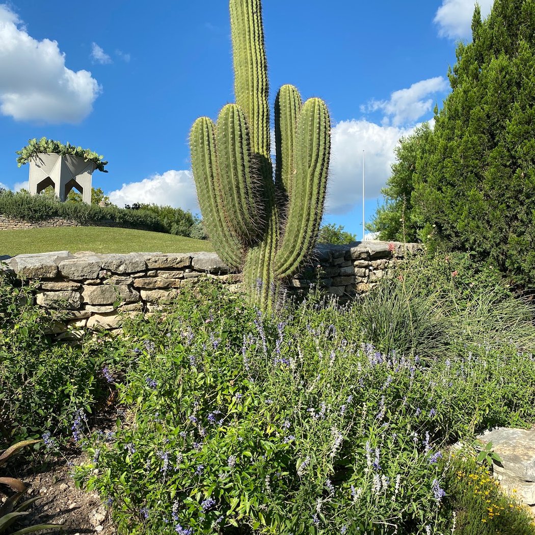San Antonio Botanical Garden 3