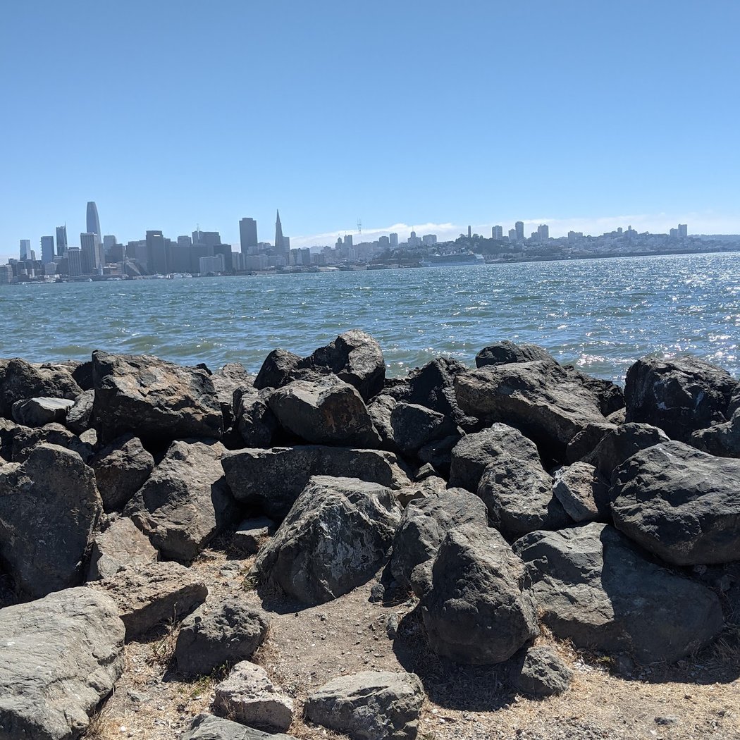Treasure Island Dog Park 2