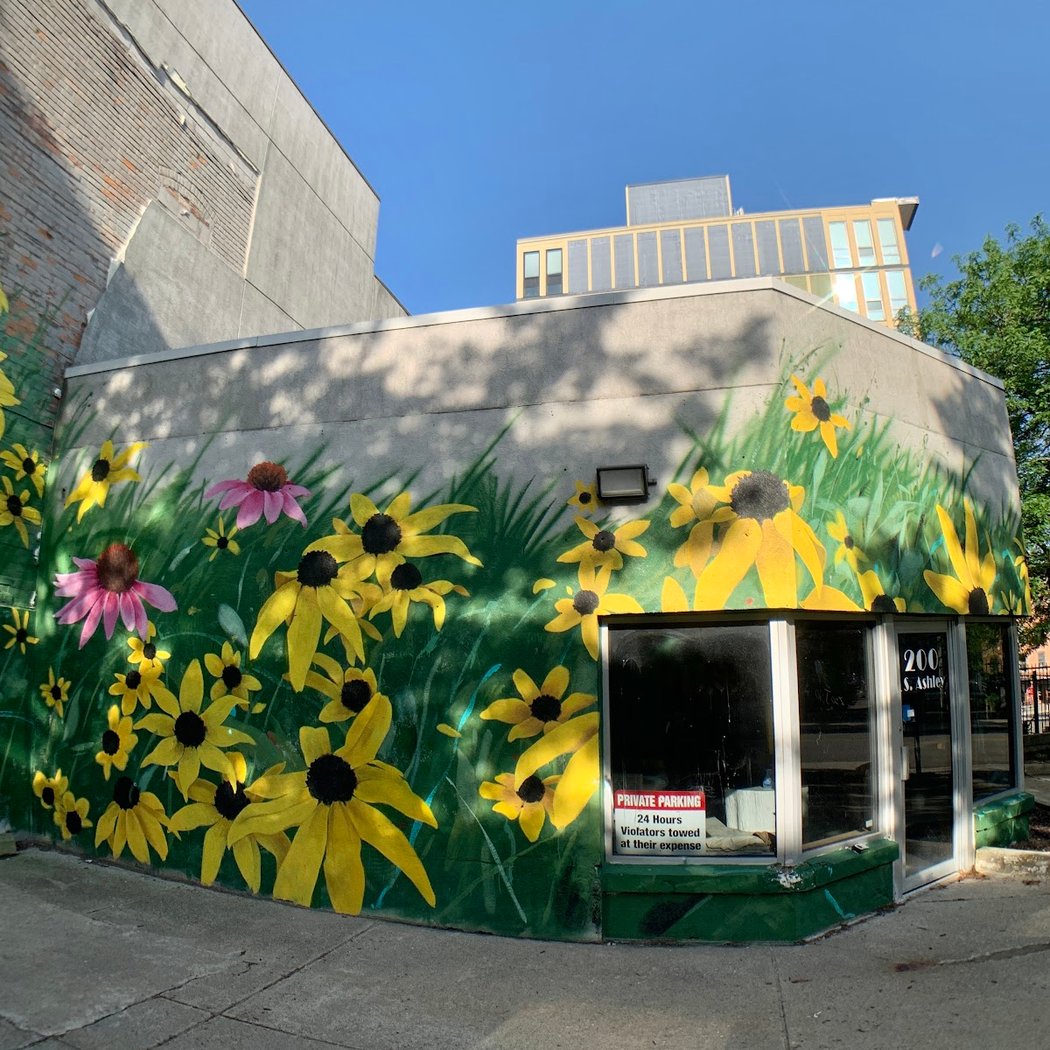 Ouizi Mural (A2AC Murals) 3