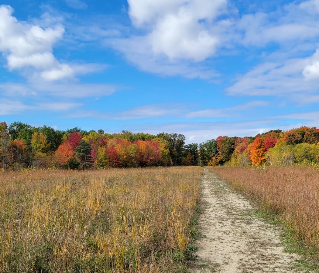 For-Mar Nature Preserve & Arboretum 1