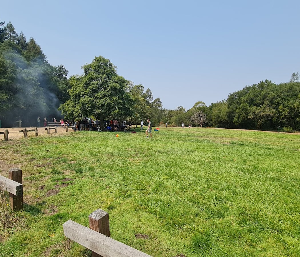 Padre Picnic Area 1