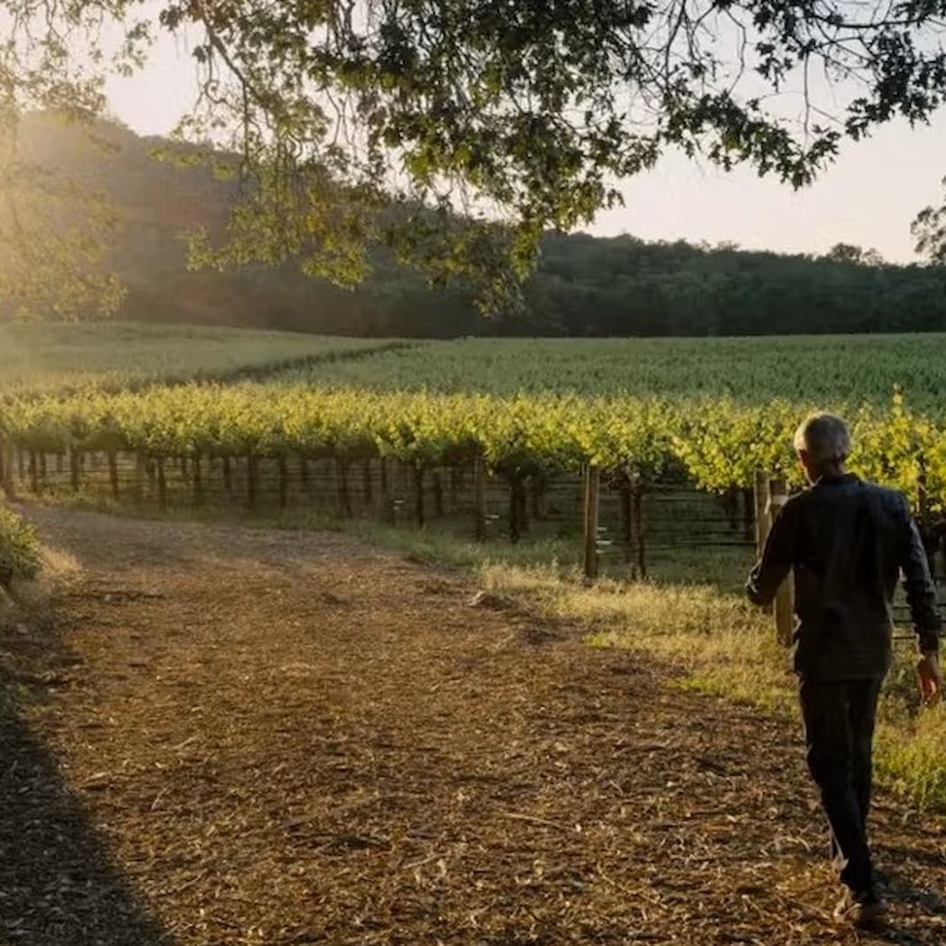 Words & Wine, Reflections of a Vintner 1