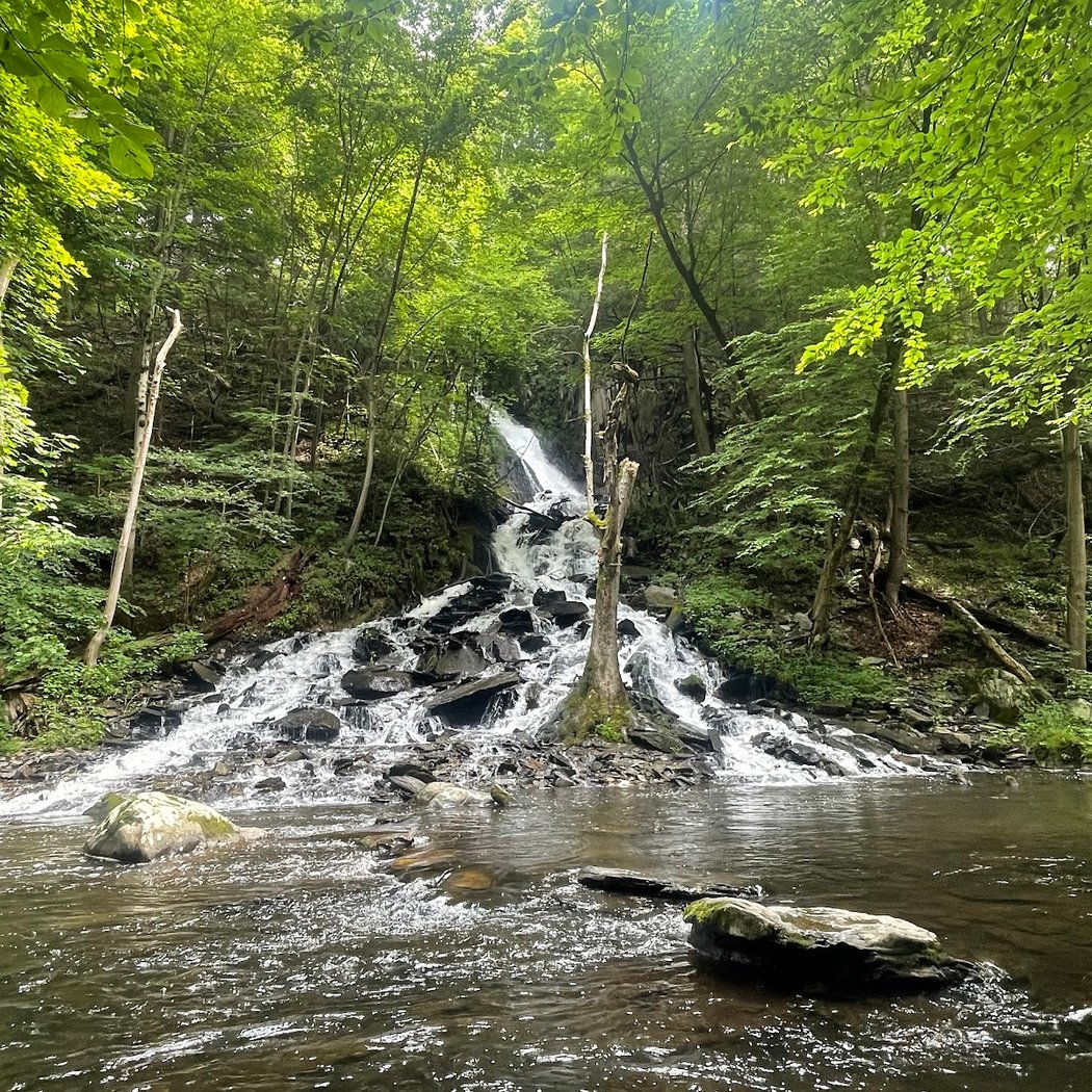 High Falls 3