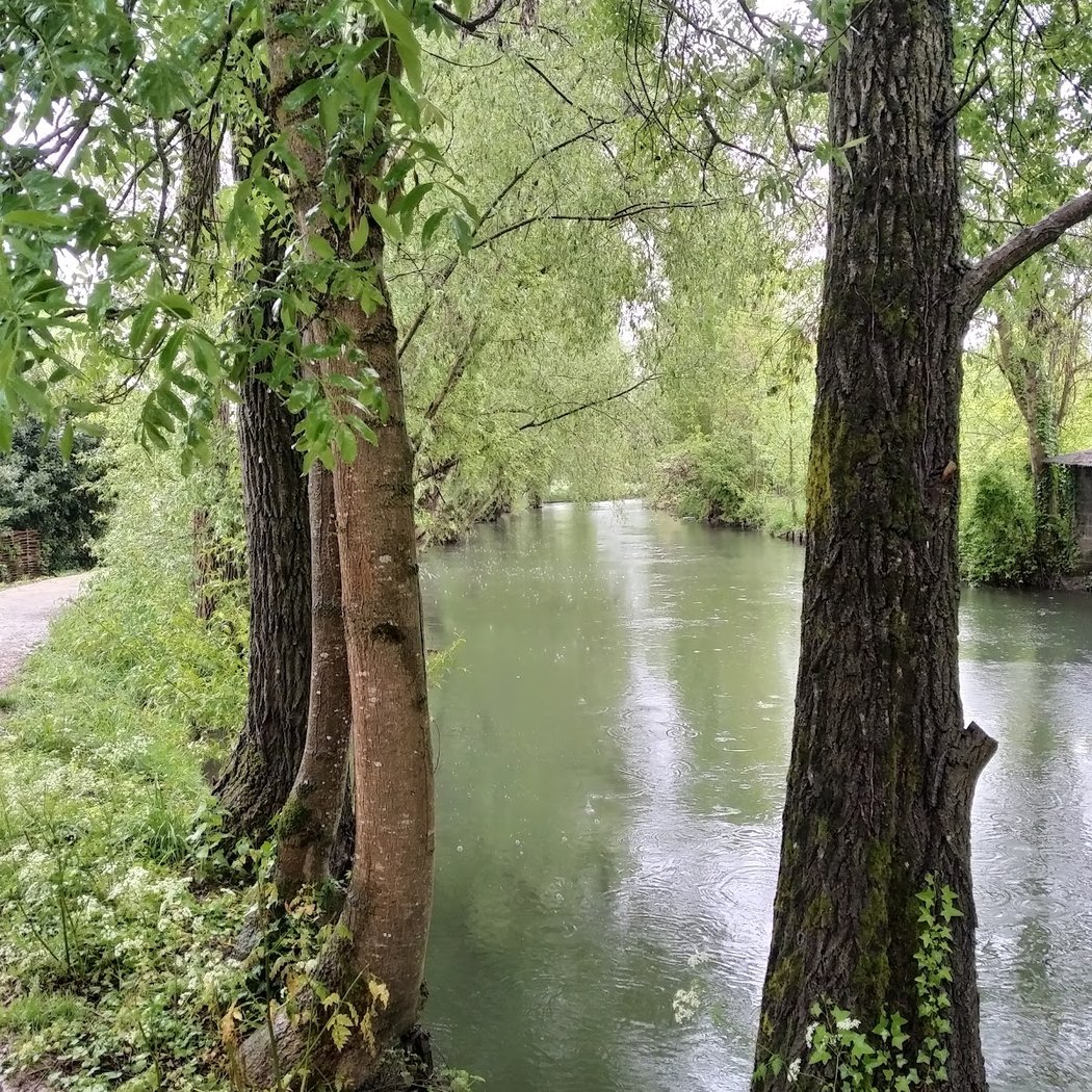Les marais de Bourges 2