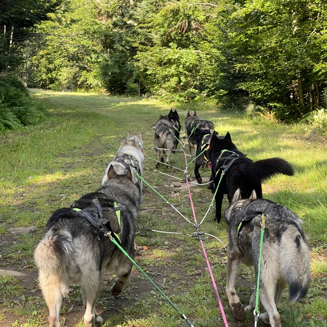 Auvergne Traineau 3