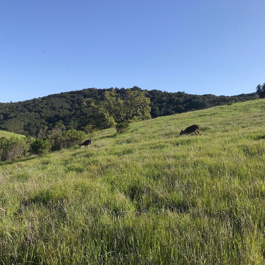Wildcat Loop Trailhead 1