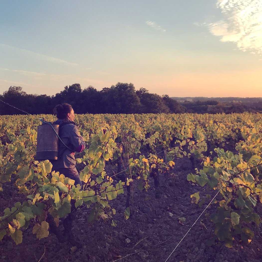 Earl Des Domaines Landron 1