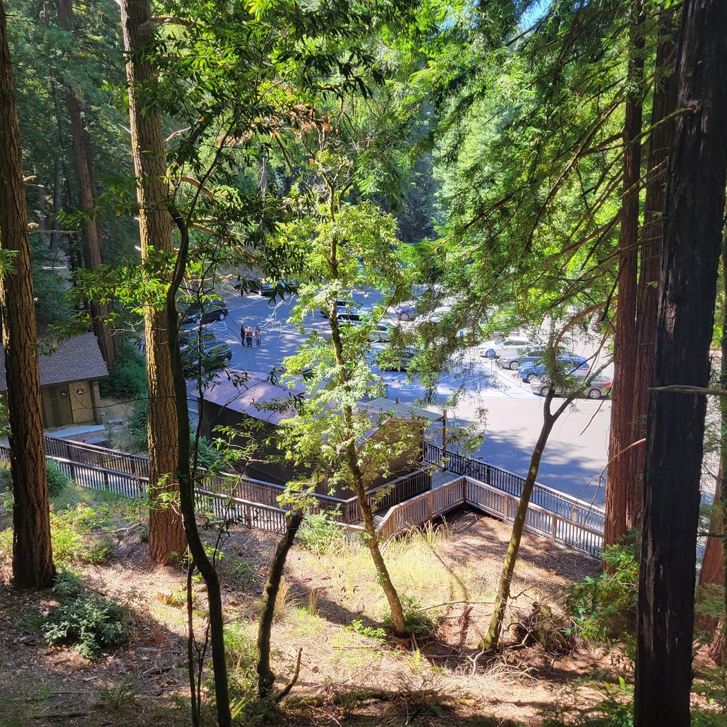 East Ridge Trail 2
