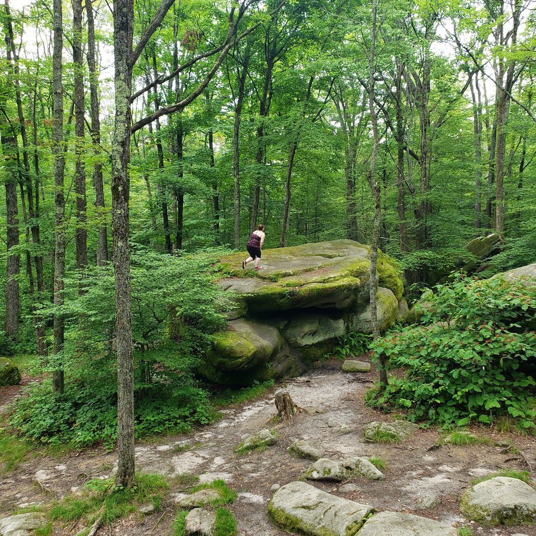 Allegany State Park 4