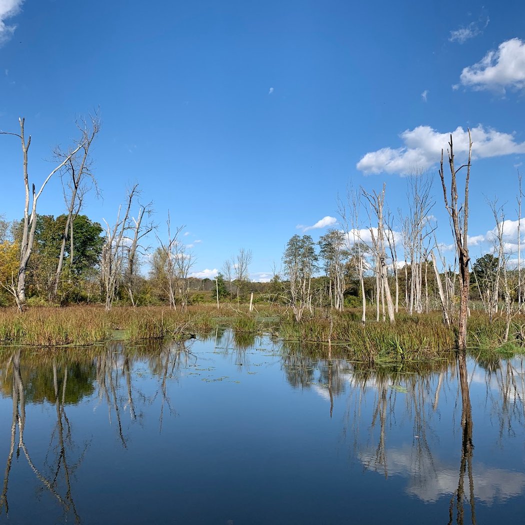 The Preserve at Vassar 2