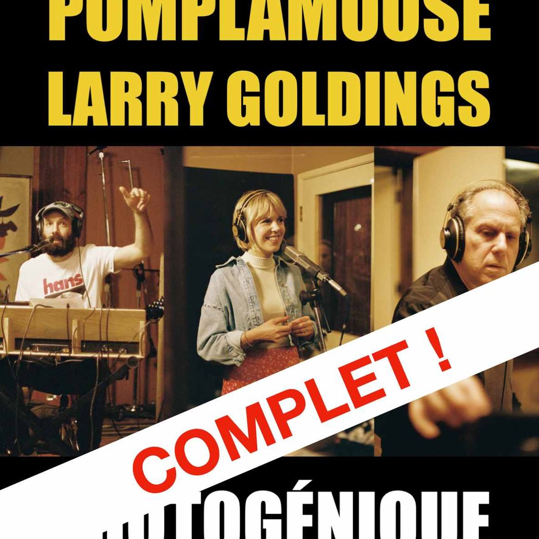 POMPLAMOOSE & LARRY GOLDINGS - PHOTOGÉNIQUE 1