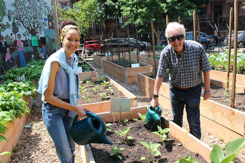 Saturday Volunteer Day at Harlem Grown