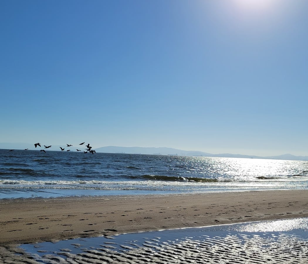 Alameda South Shore Beach 2