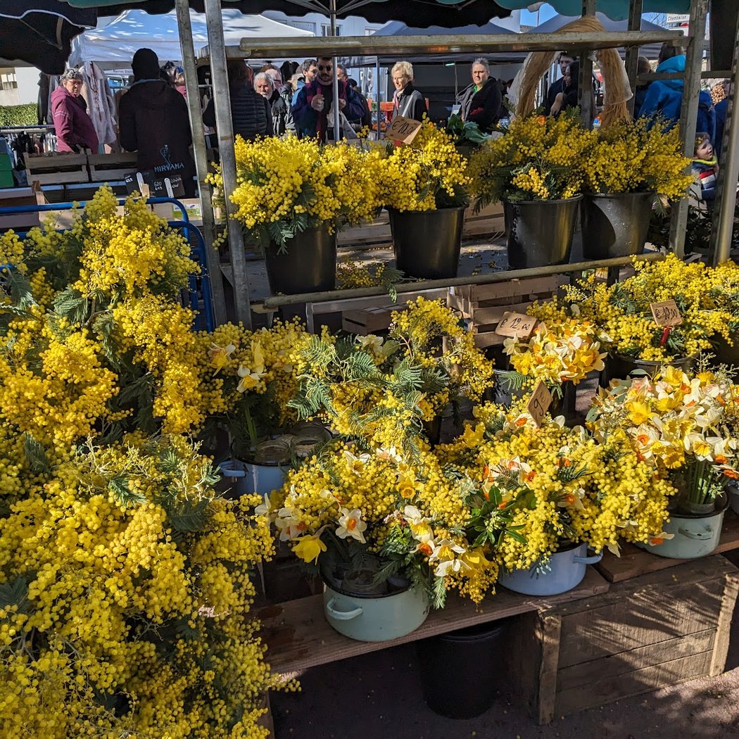 Market Doulon 1