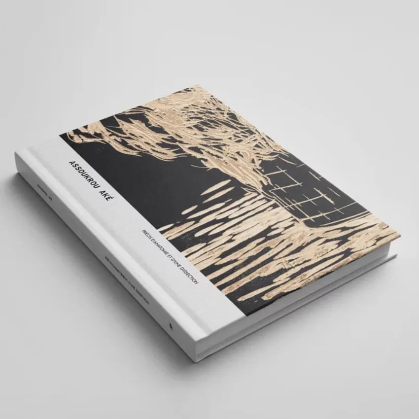 LANCEMENT : MONOGRAPHIE : Assoukrou Aké 1