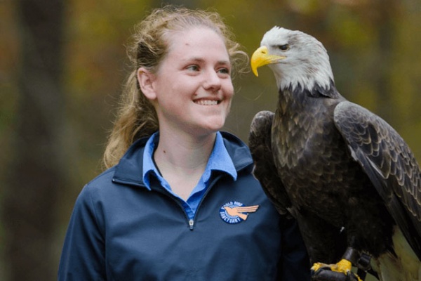 Flying Bird Show 3