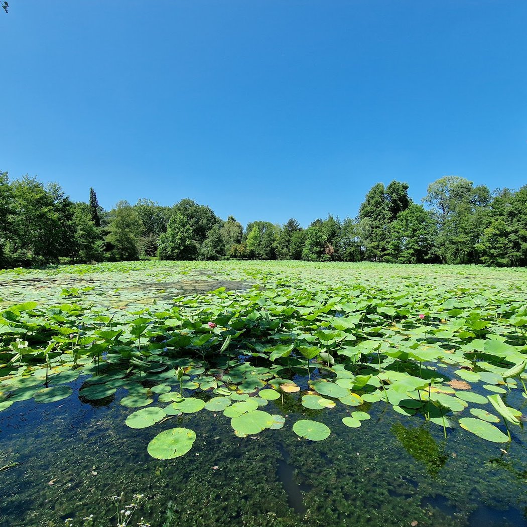 Arboretum 3