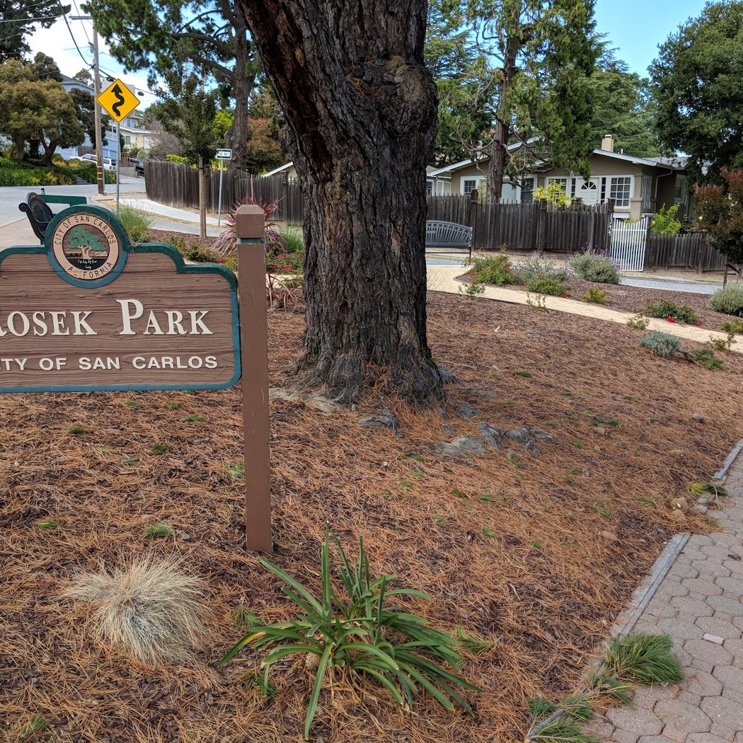 Rosek Park 2