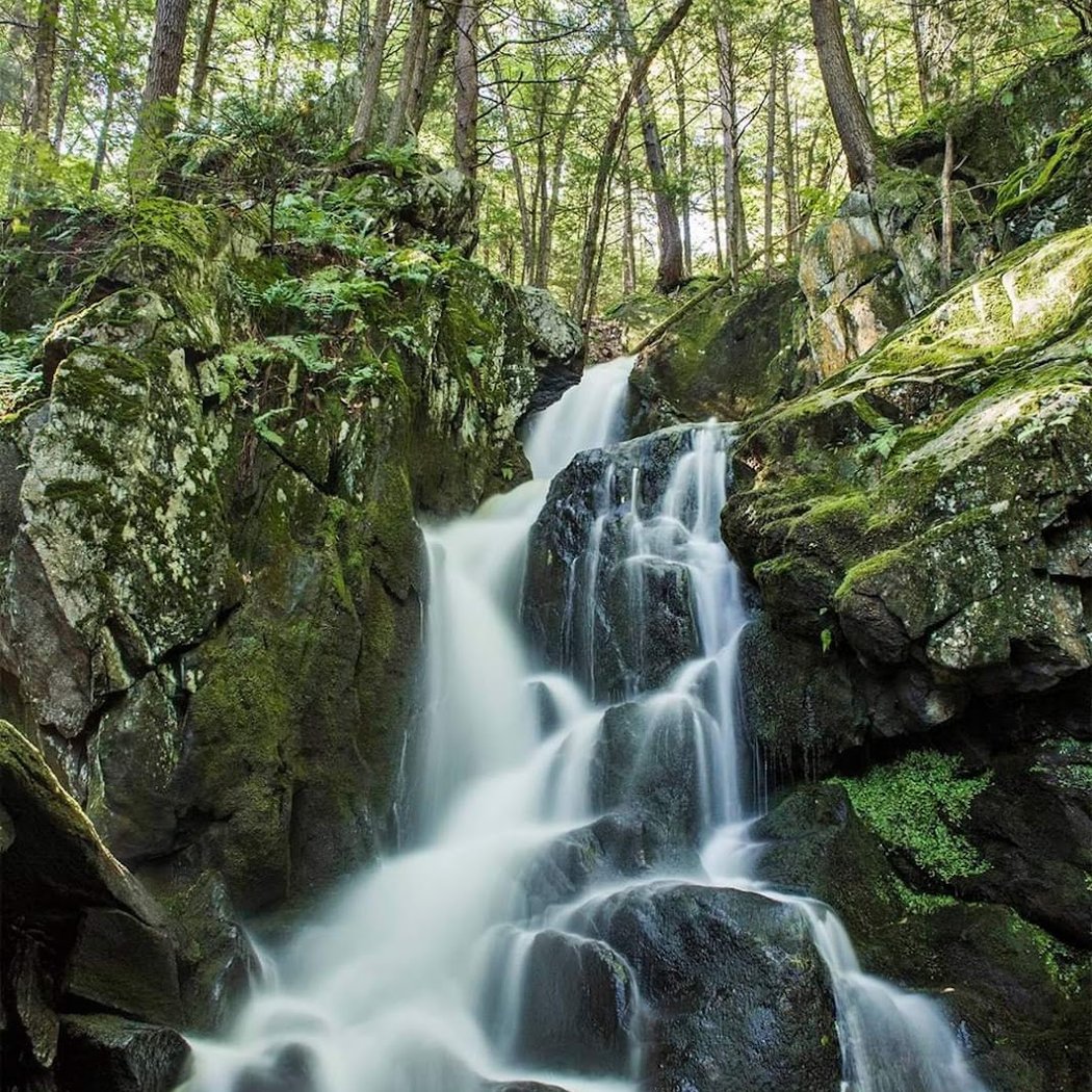 Sanderson Brook Waterfall 1