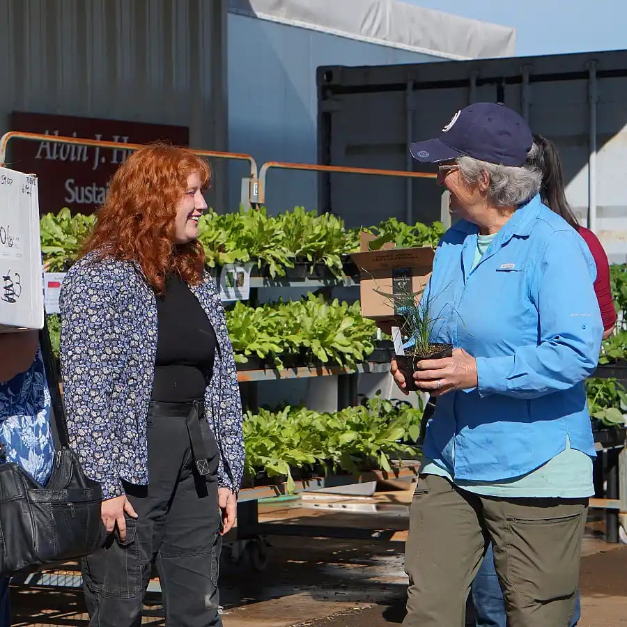 Shone Farm’s Plant Sale 1