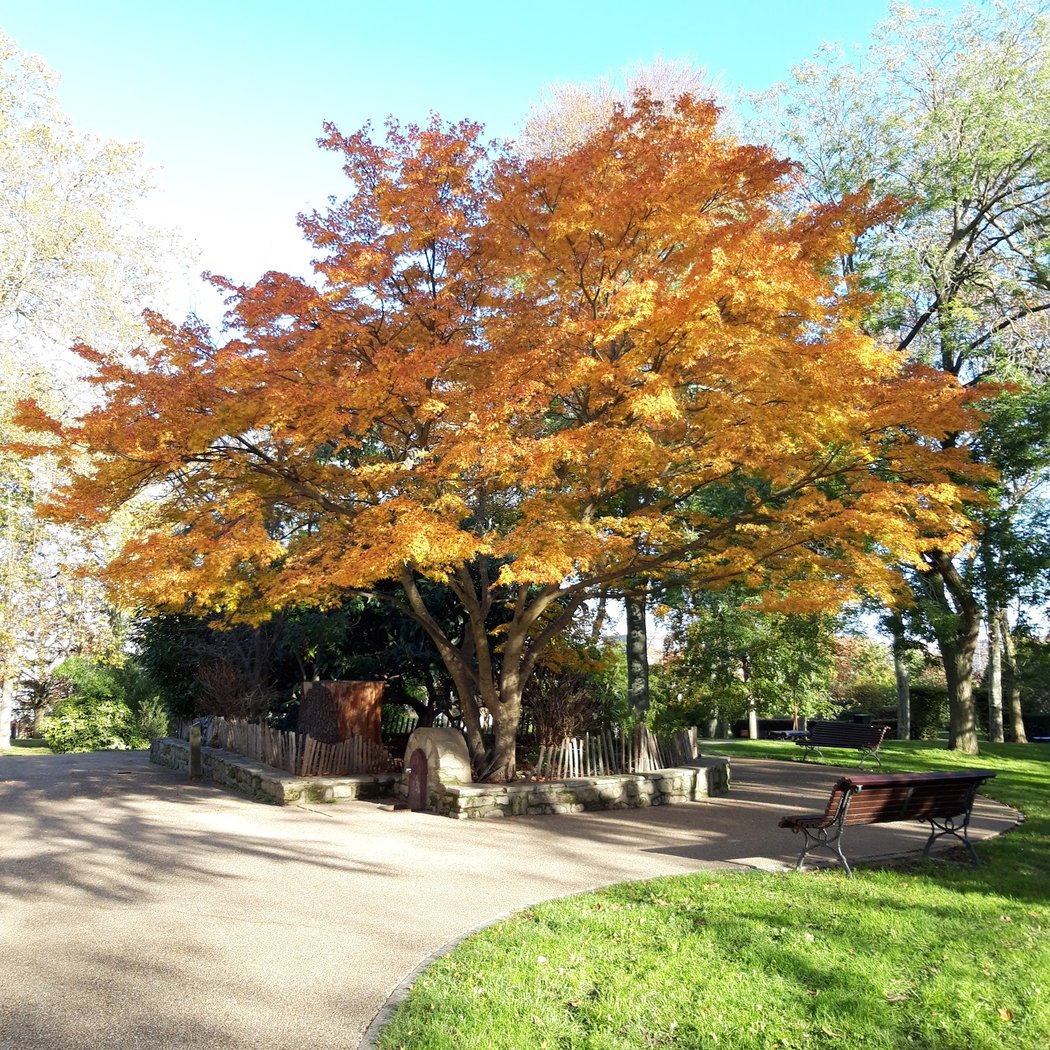 Parc Richelieu 3
