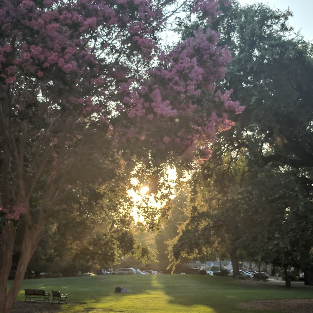 Pioneer Memorial Park 1