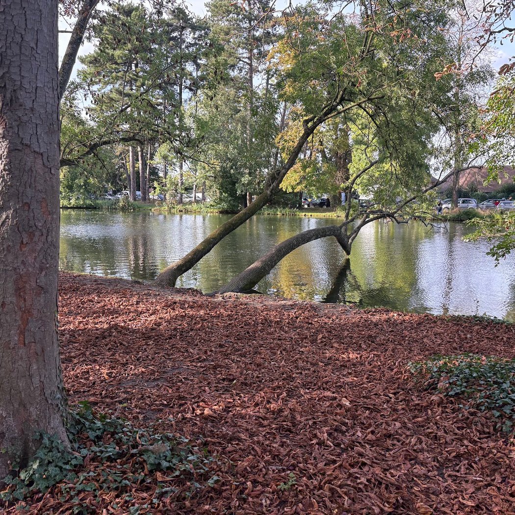Parcours bien-être dans le Bois de Vincennes 3