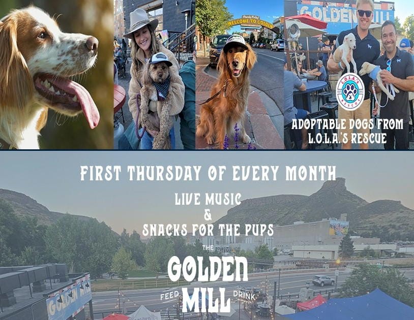 Furst Thursday Yappy Hour 2