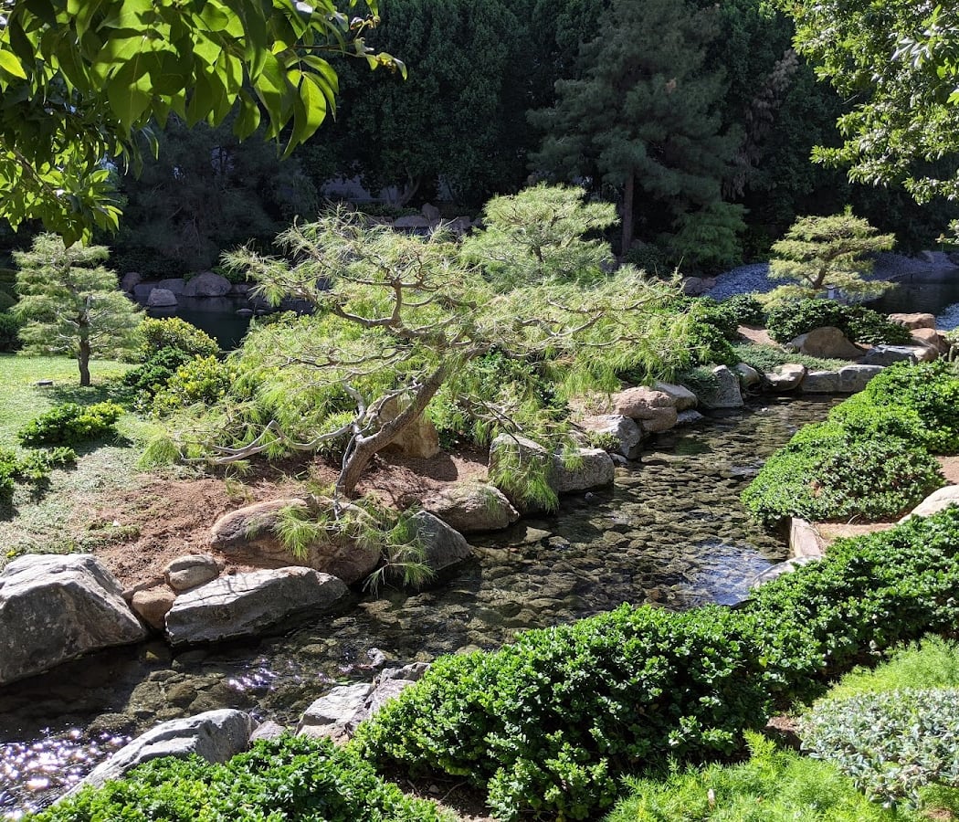 Japanese Friendship Garden of Phoenix 3