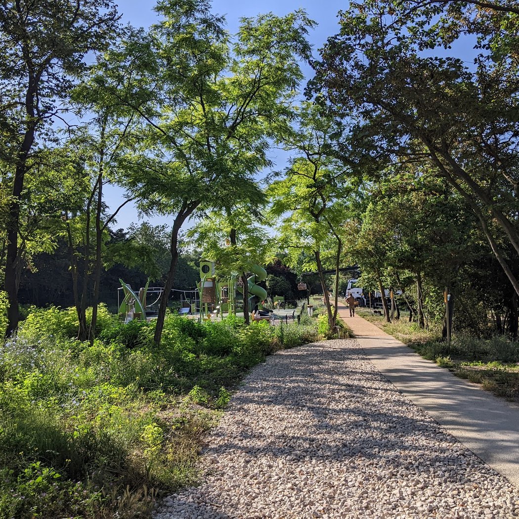 Denise State Park 3