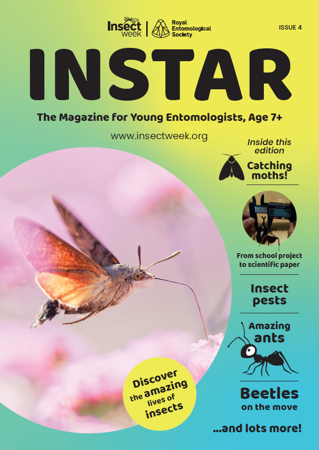 National Insect Week / Insect Fest 2