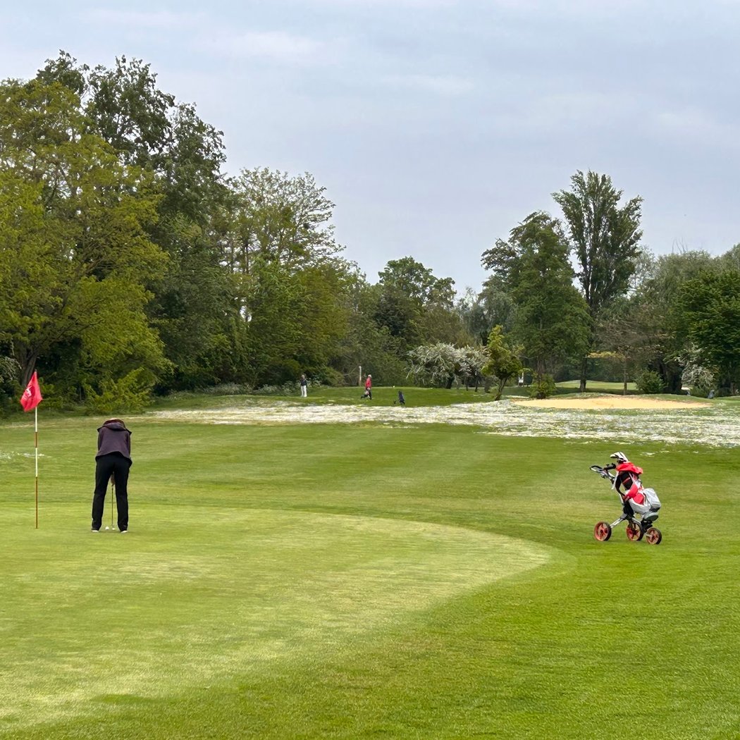 Golf Competitions 2