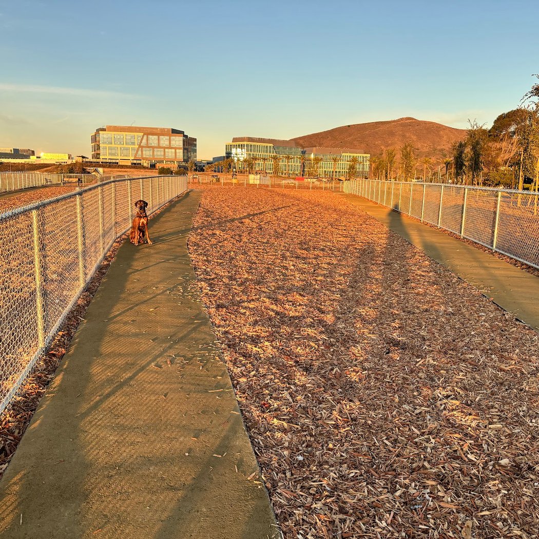 Oyster Point Dog Park 2
