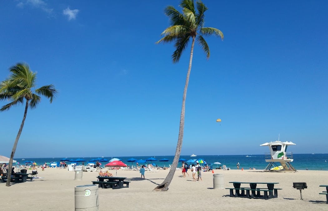 FtL Beach Sweep 2