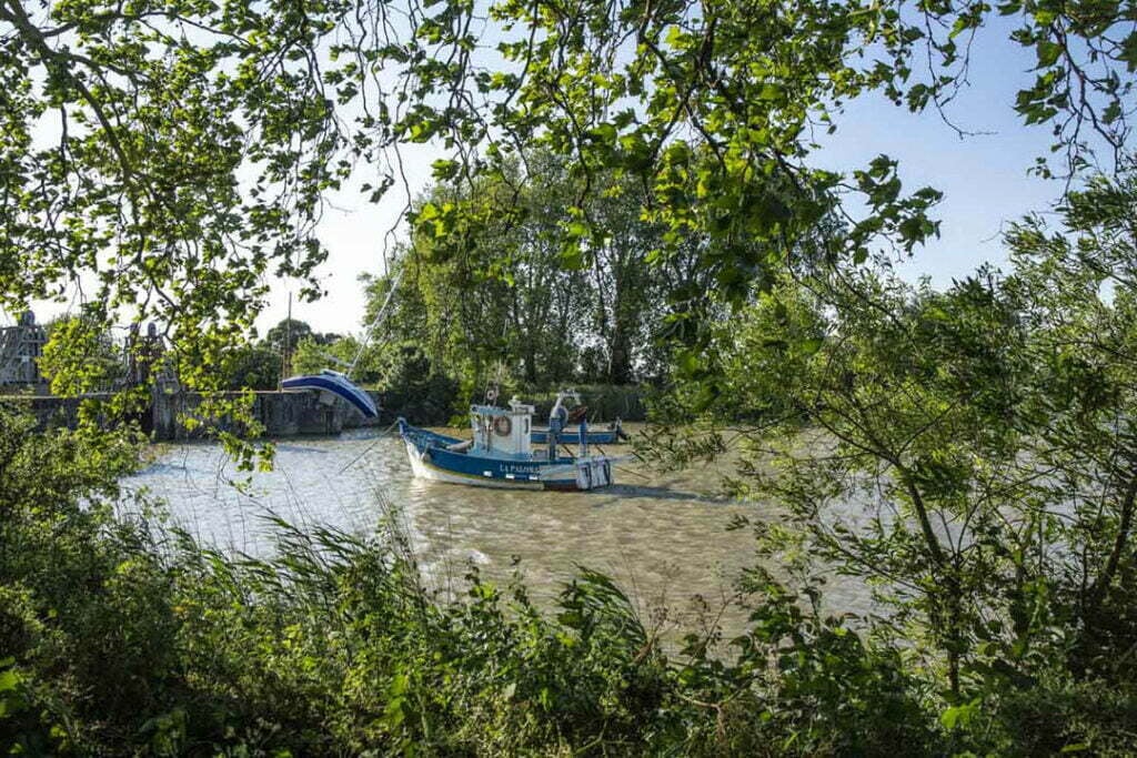 Loire estuary 3