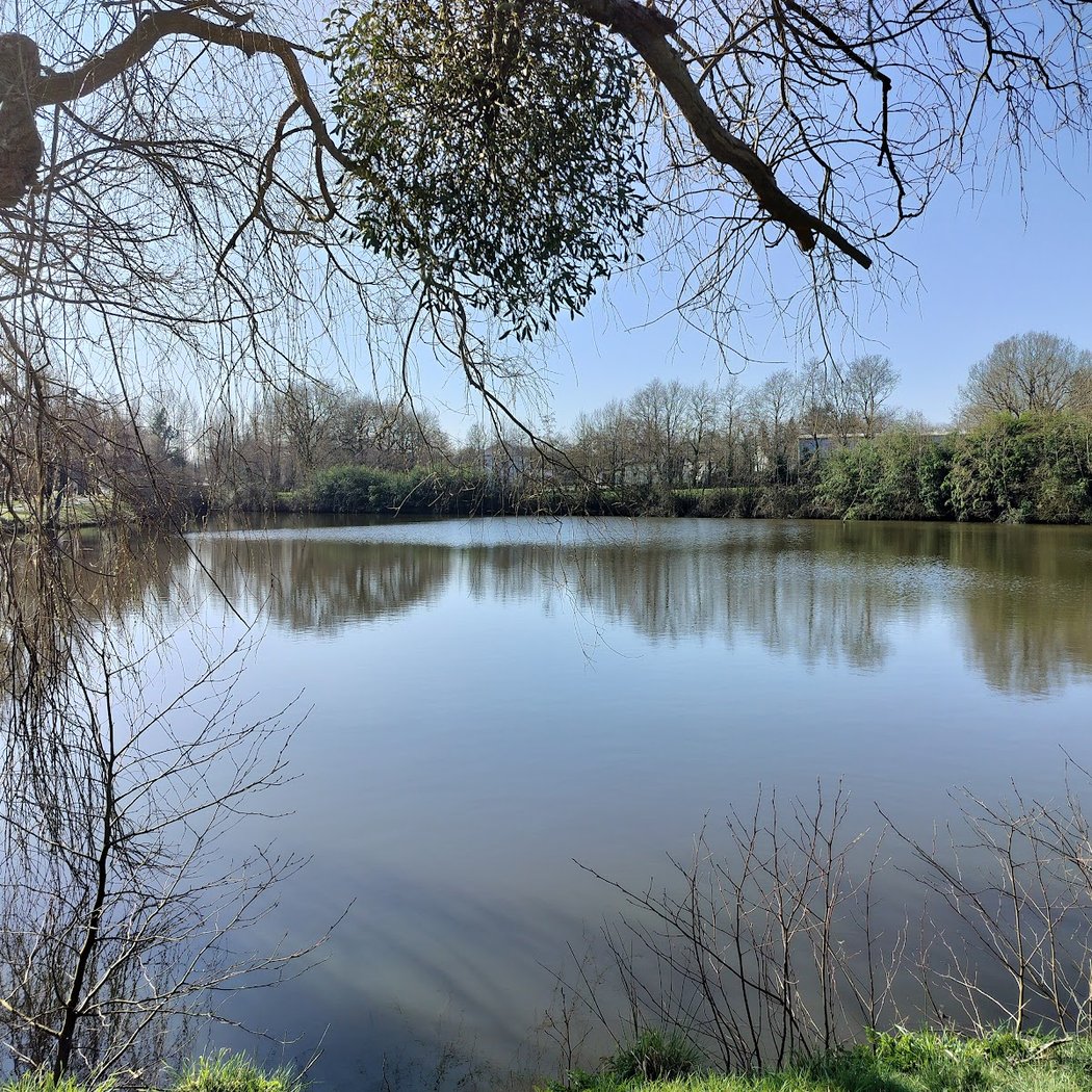 Evénements à Nantes 2