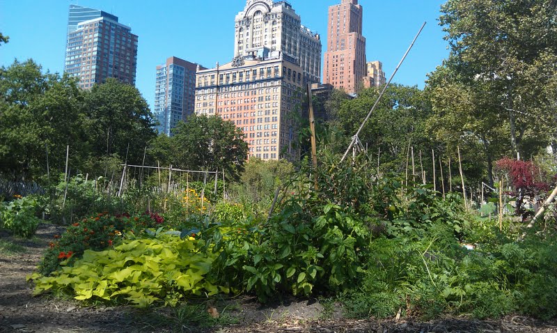 The Battery Urban Farm 3