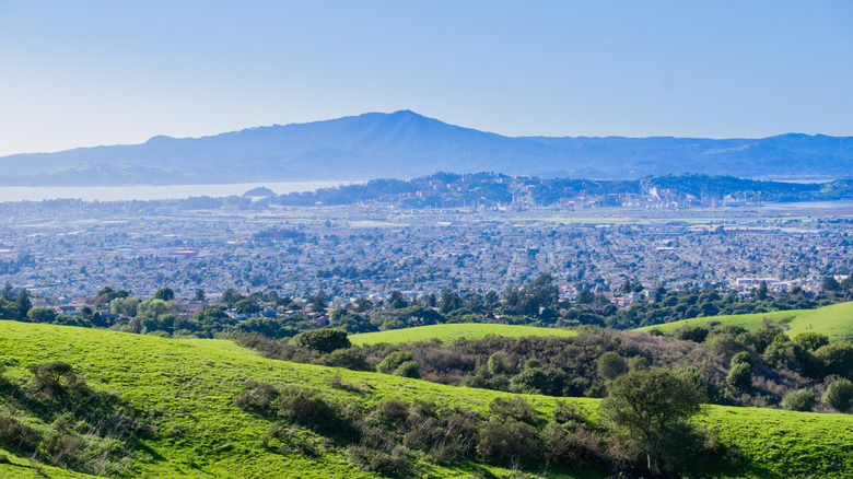 Wildcat Canyon Regional Park 2