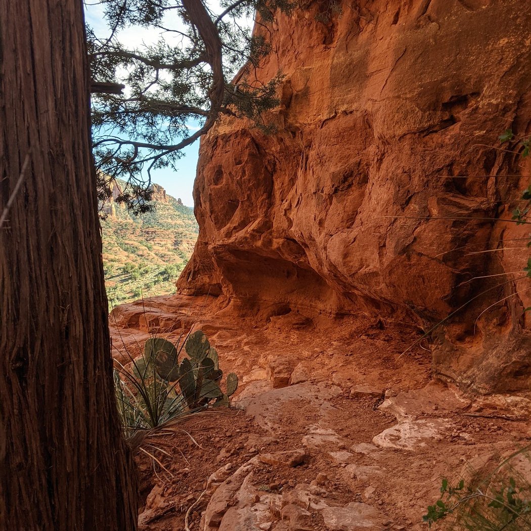 Cathedral Rock Trail 3
