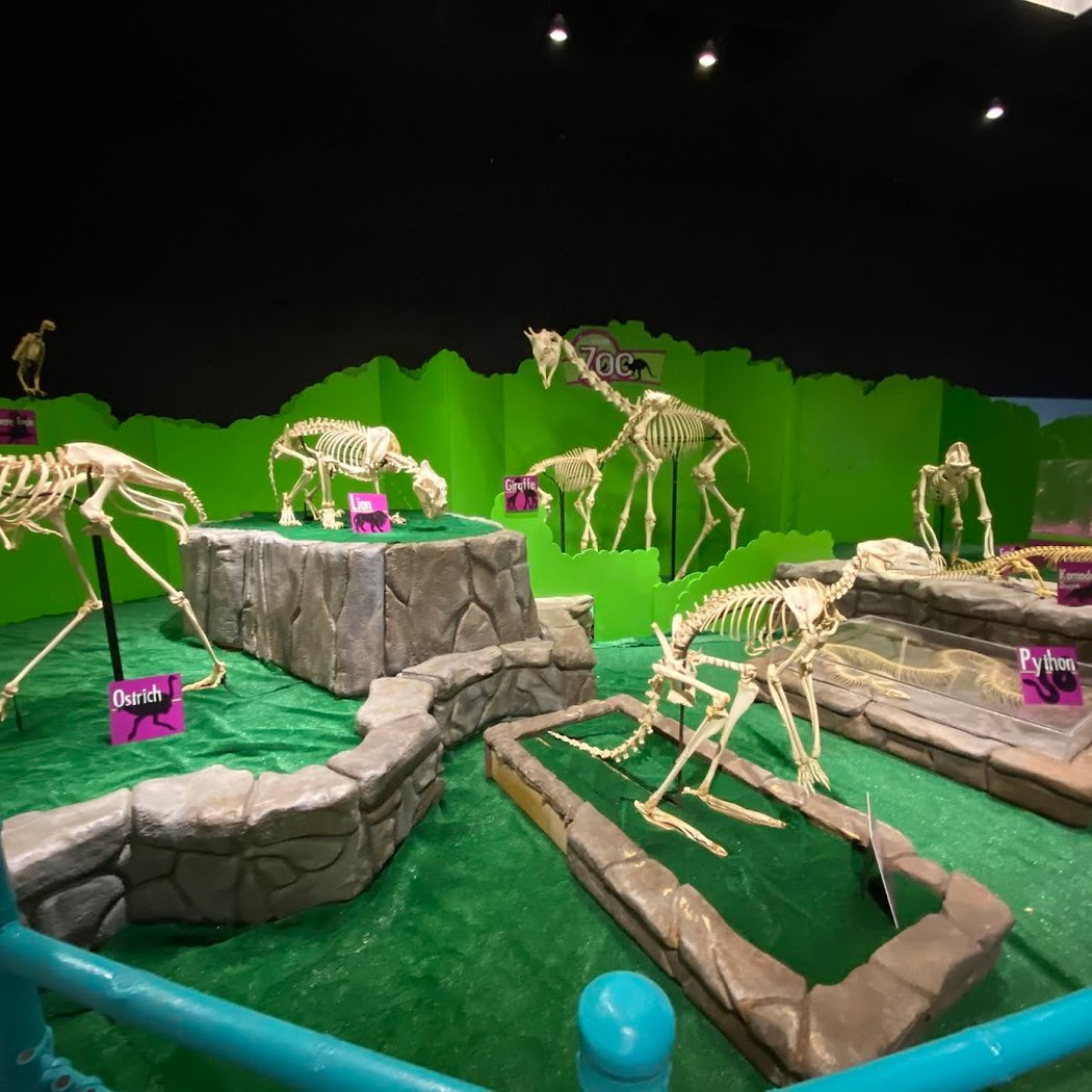 Skeletown 1
